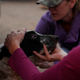 Image for article titled Photos: The lost animals of California’s destructive wildfires